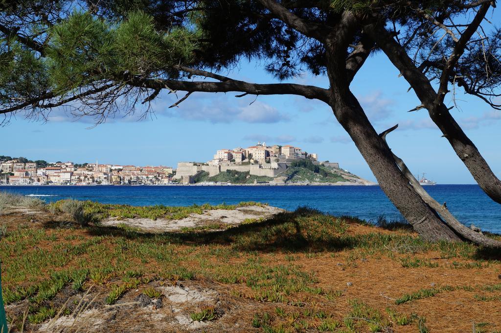 Camping Les Castors Calvi  Exterior photo