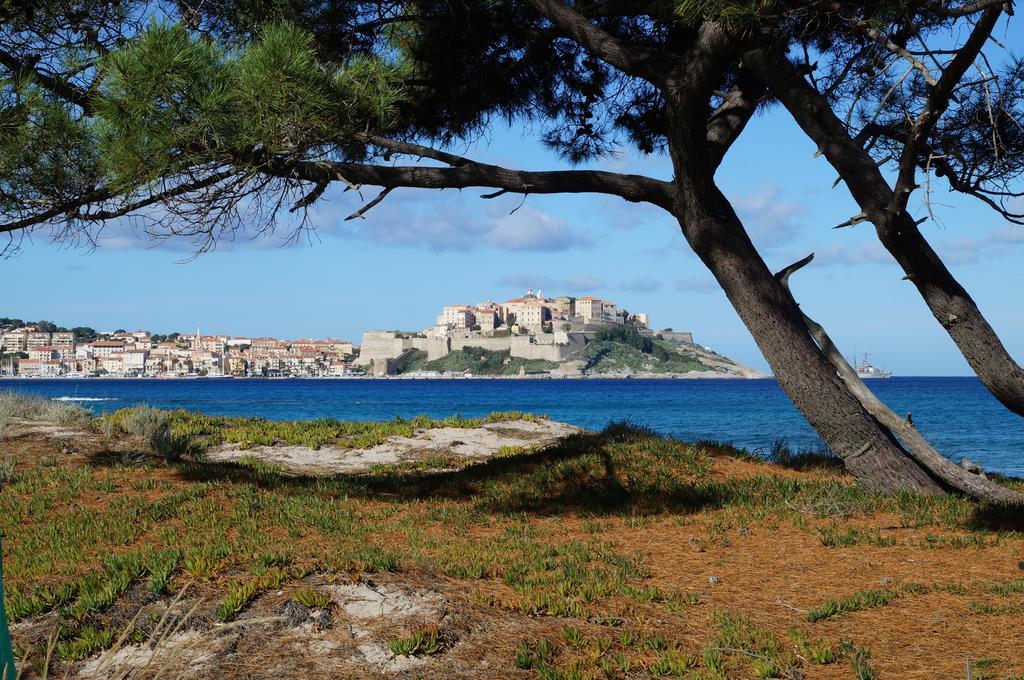 Camping Les Castors Hotel Calvi  Exterior photo