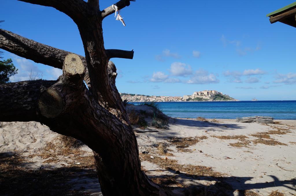 Camping Les Castors Calvi  Exterior photo