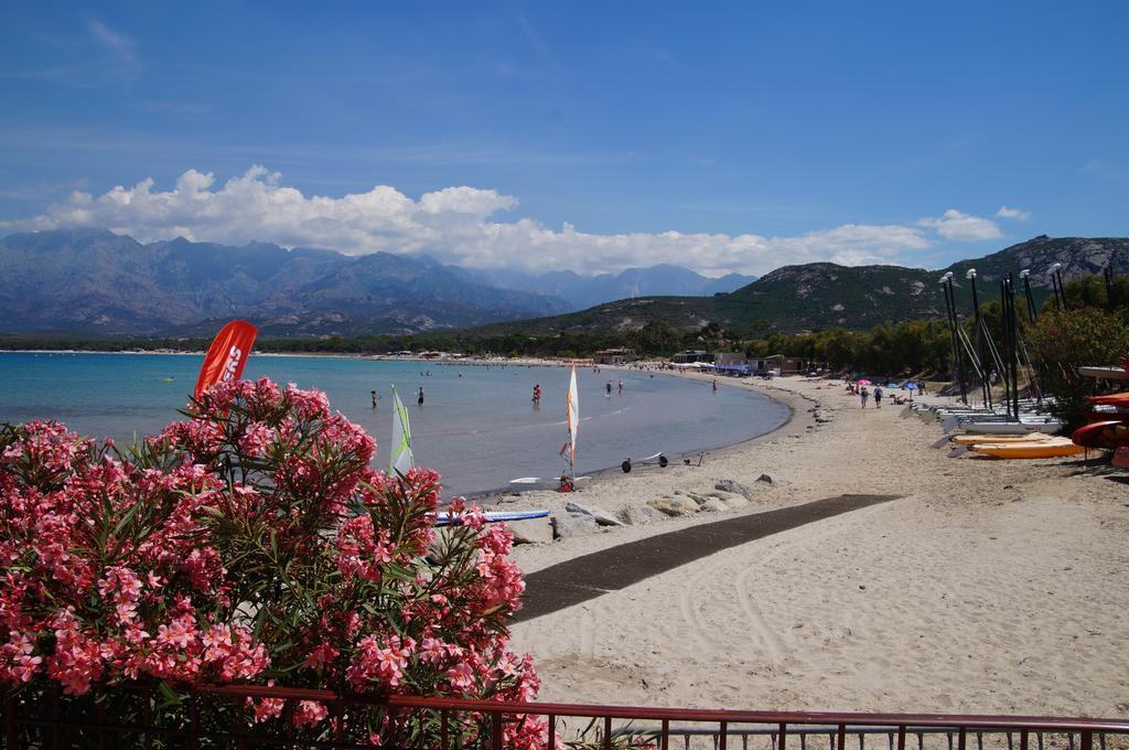 Camping Les Castors Hotel Calvi  Exterior photo